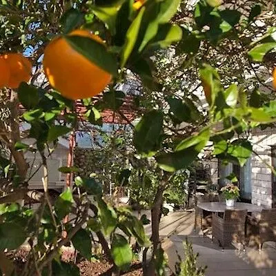 Durrat Al Eiman Hotel Медина